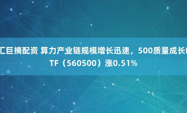 汇巨摘配资 算力产业链规模增长迅速，500质量成长ETF（560500）涨0.51%