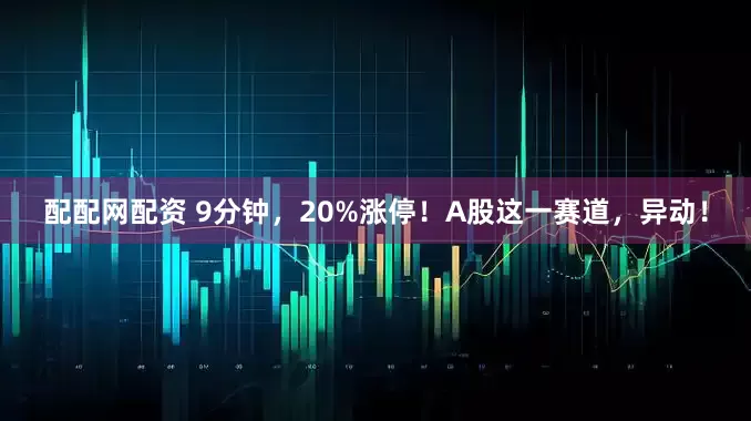 配配网配资 9分钟，20%涨停！A股这一赛道，异动！