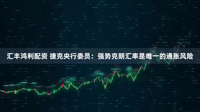 汇丰鸿利配资 捷克央行委员：强势克朗汇率是唯一的通胀风险