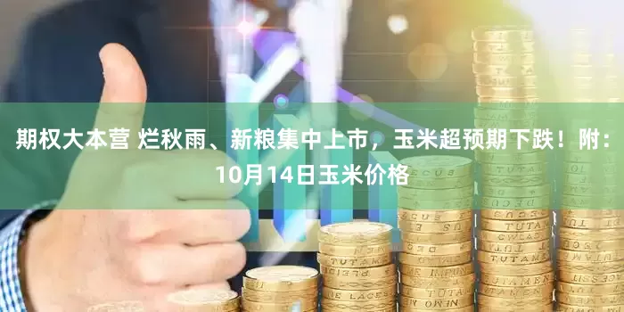 期权大本营 烂秋雨、新粮集中上市，玉米超预期下跌！附：10月14日玉米价格